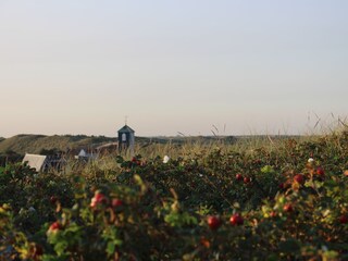 Bungalow Callantsoog Omgeving 17