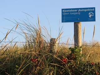 Bungalow Callantsoog Omgeving 17