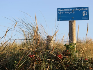 Bungalow Callantsoog Omgeving 19