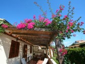 Farbenfrohe Terrasse des Ferienhauses Villa Mareli