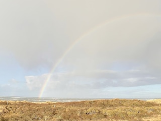 Regenbogen