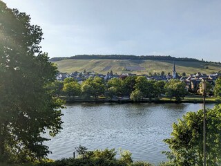 Aussicht auf die Mosel