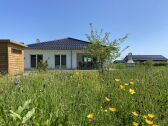 das Ferienhaus mit Blumenwiese und Sauna