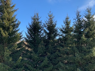 Blick aus dem Balkon