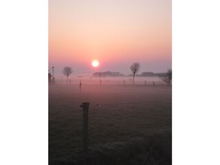 Die Morgensonne in der Marsch