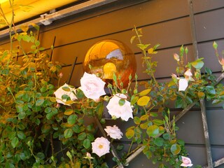 Appartamento per vacanze Sint Maartenszee Registrazione all'aperto 4