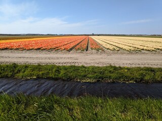 Appartamento per vacanze Sint Maartenszee Ambiente 25