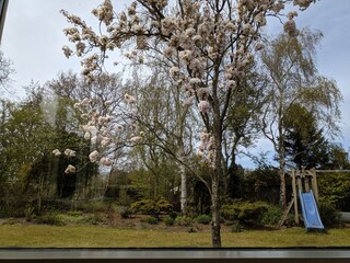 Appartamento per vacanze Sint Maartenszee Registrazione all'aperto 9