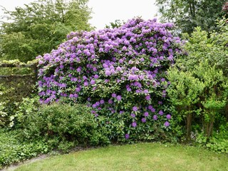 Appartamento per vacanze Sint Maartenszee Registrazione all'aperto 5