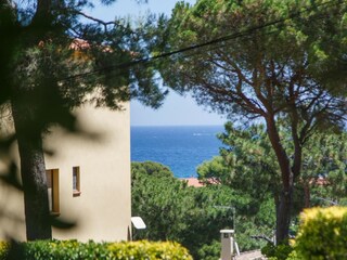 Bungalow Pals Registrazione all'aperto 6