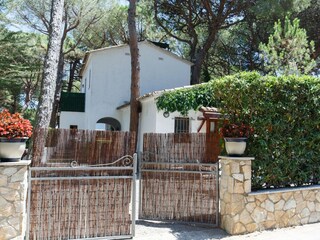 Bungalow Pals Registrazione all'aperto 7