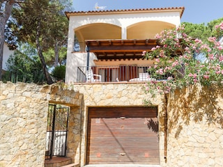 Bungalow Pals Outdoor Recording 4