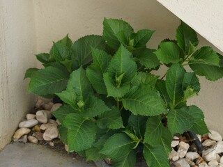 Casa per le vacanze Pals Registrazione all'aperto 20