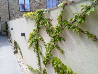 Casa per le vacanze Pals Registrazione all'aperto 4