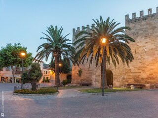 Appartement Alcudia Omgeving 39