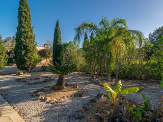 Villa Porreres Grabación al aire libre 12