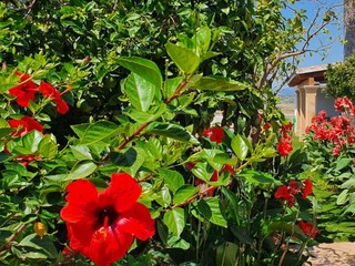 Villa Santa Margalida Grabación al aire libre 16