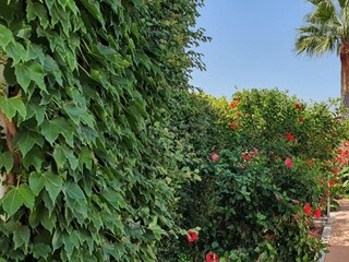 Villa Santa Margalida Grabación al aire libre 17