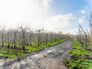 Casa per le vacanze Hannut Ambiente 36