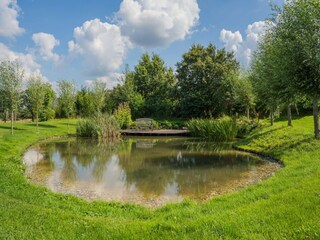 Type de propriété : Ferme Dwingeloo  37