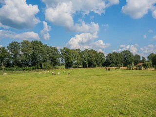 Farmhouse Dwingeloo Environment 25