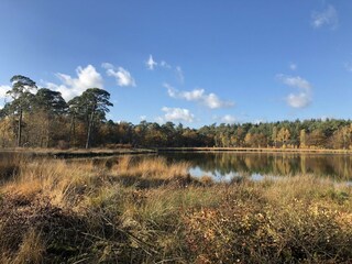 Farmhouse Dwingeloo Environment 31