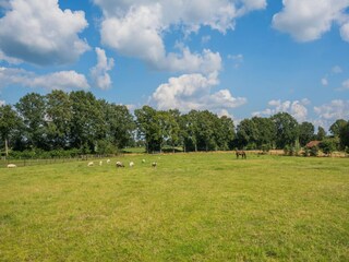Farmhouse Dwingeloo Environment 29
