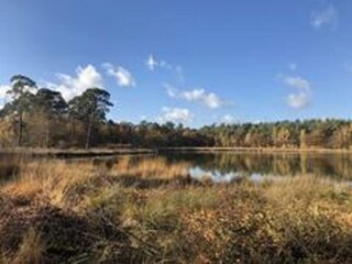 Farmhouse Dwingeloo Environment 26