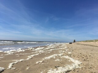 Casa per le vacanze Julianadorp Ambiente 28