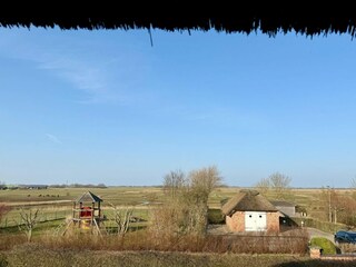 Vakantiehuis St. Peter-Ording Buitenaudio-opname 34