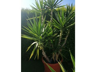 Apartamento Eppenbrunn Grabación al aire libre 23