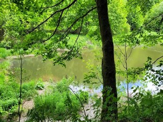 Appartamento Winterberg Ambiente 20