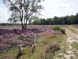 Vakantiehuis Lemele Omgeving 31