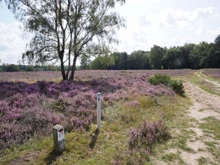 Vakantiehuis Lemele Omgeving 34