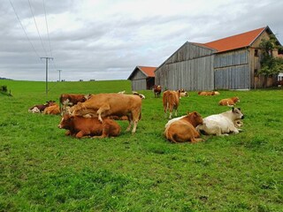 Ferienwohnung Bernbeuren Umgebung 36