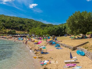 Maison de vacances Žestilac Environnement 34