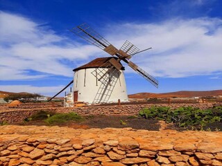 Ferienhaus Lajares Umgebung 34