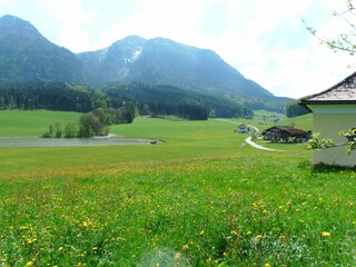 Froschsee Wanderweg