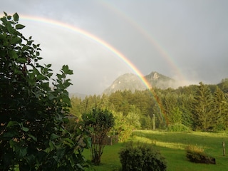 Regenbogen