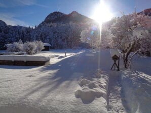 Gebirgsbach mit Bergblick