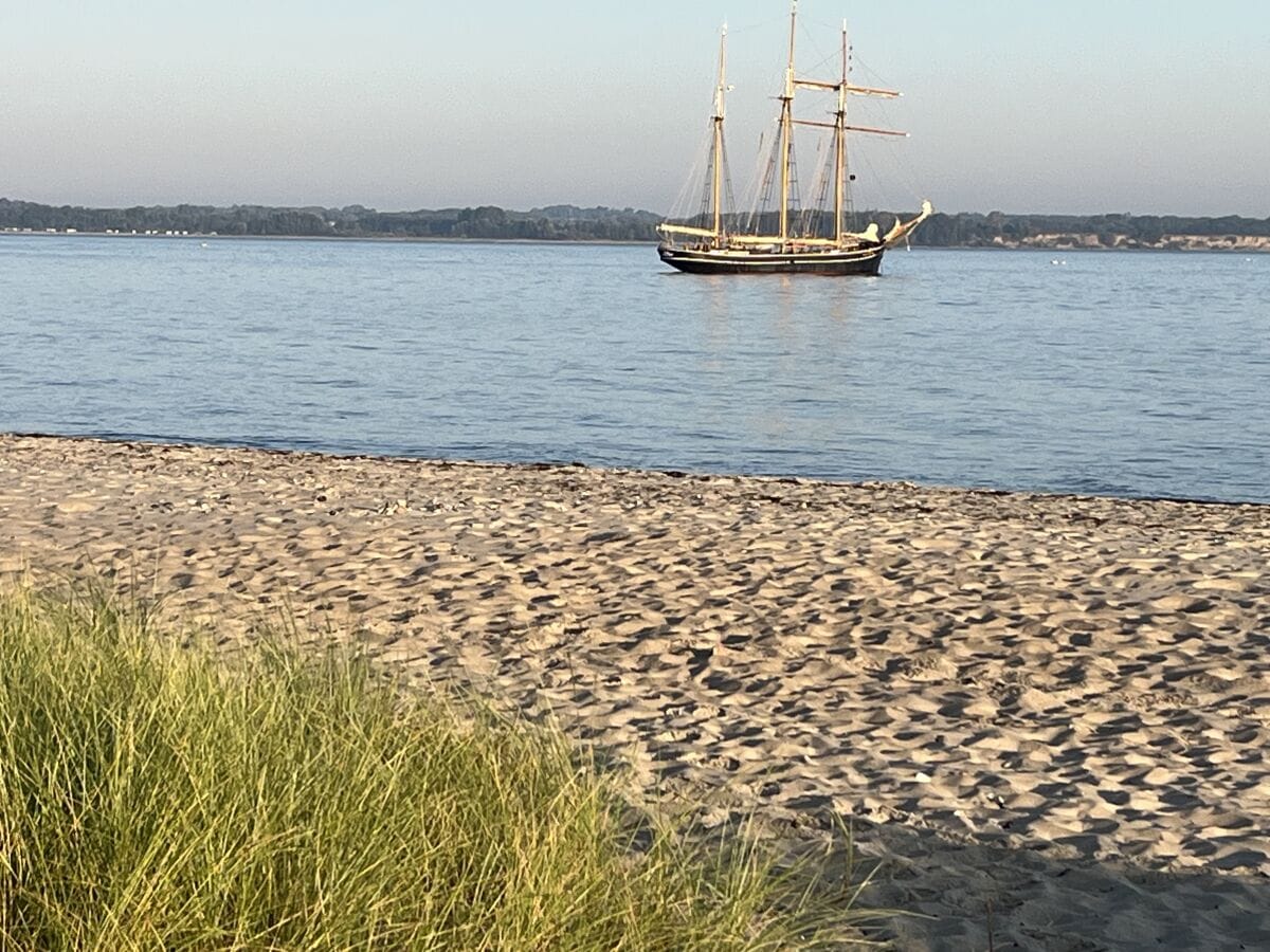 Segelschiff im Morgenlicht