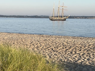 Segelschiff im Morgenlicht
