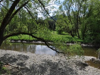 Ferienhaus Bestwig Außenaufnahme 7