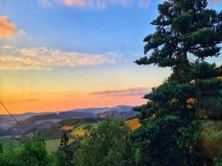 Casa per le vacanze Bestwig Ambiente 36