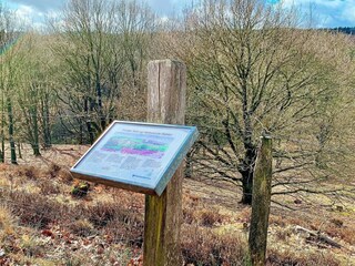 Casa de vacaciones Silkeborg Grabación al aire libre 2