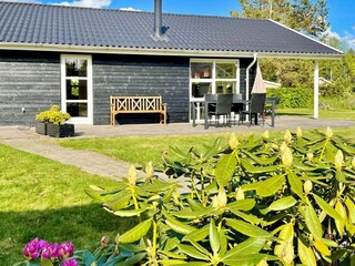 Vakantiehuis Silkeborg Buitenaudio-opname 13