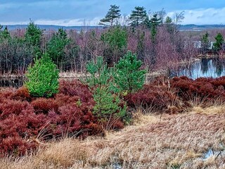 Casa de vacaciones Silkeborg Grabación al aire libre 11