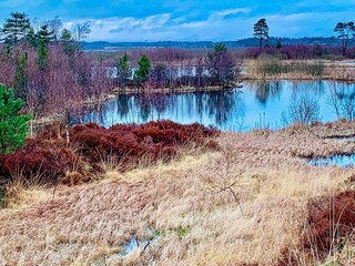 Vakantiehuis Silkeborg Buitenaudio-opname 6