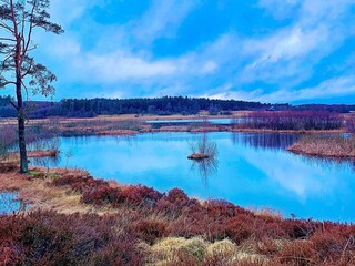 Casa de vacaciones Silkeborg Grabación al aire libre 7