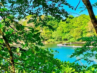 Vakantiehuis Silkeborg Buitenaudio-opname 9